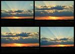 (04) sunrise montage.jpg    (1000x720)    221 KB                              click to see enlarged picture